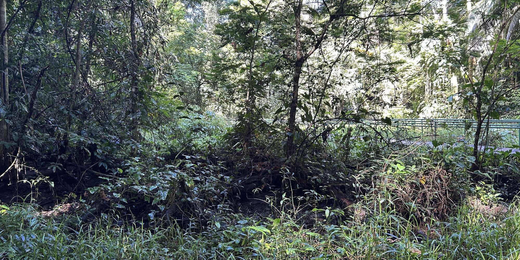 Second image to compare