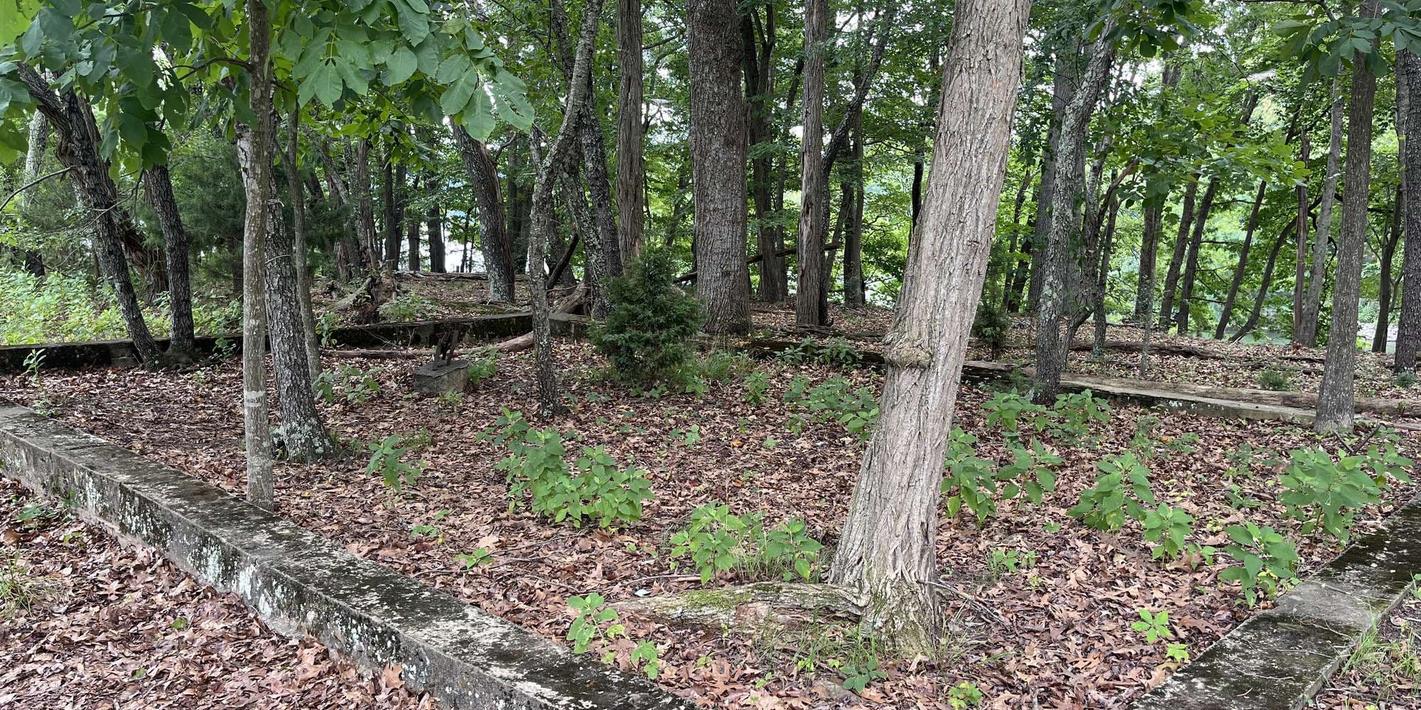 Second image to compare