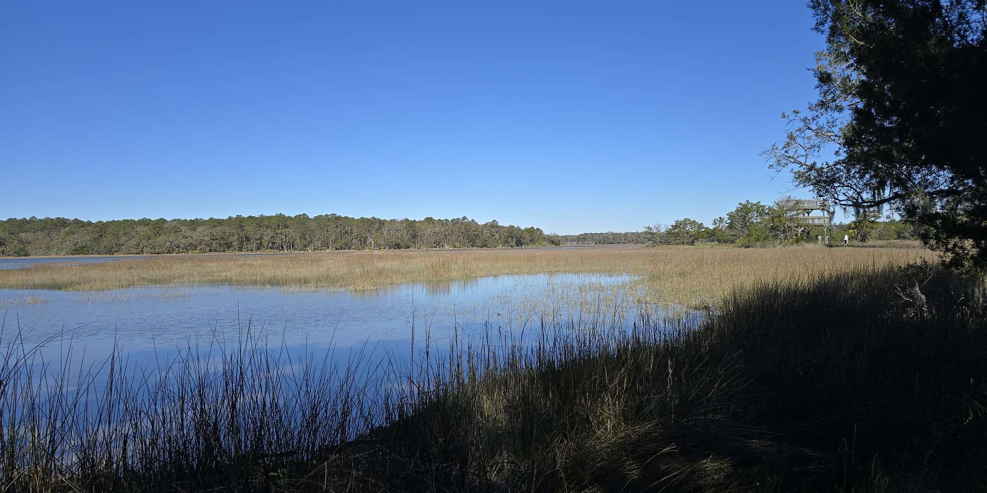 First image to compare