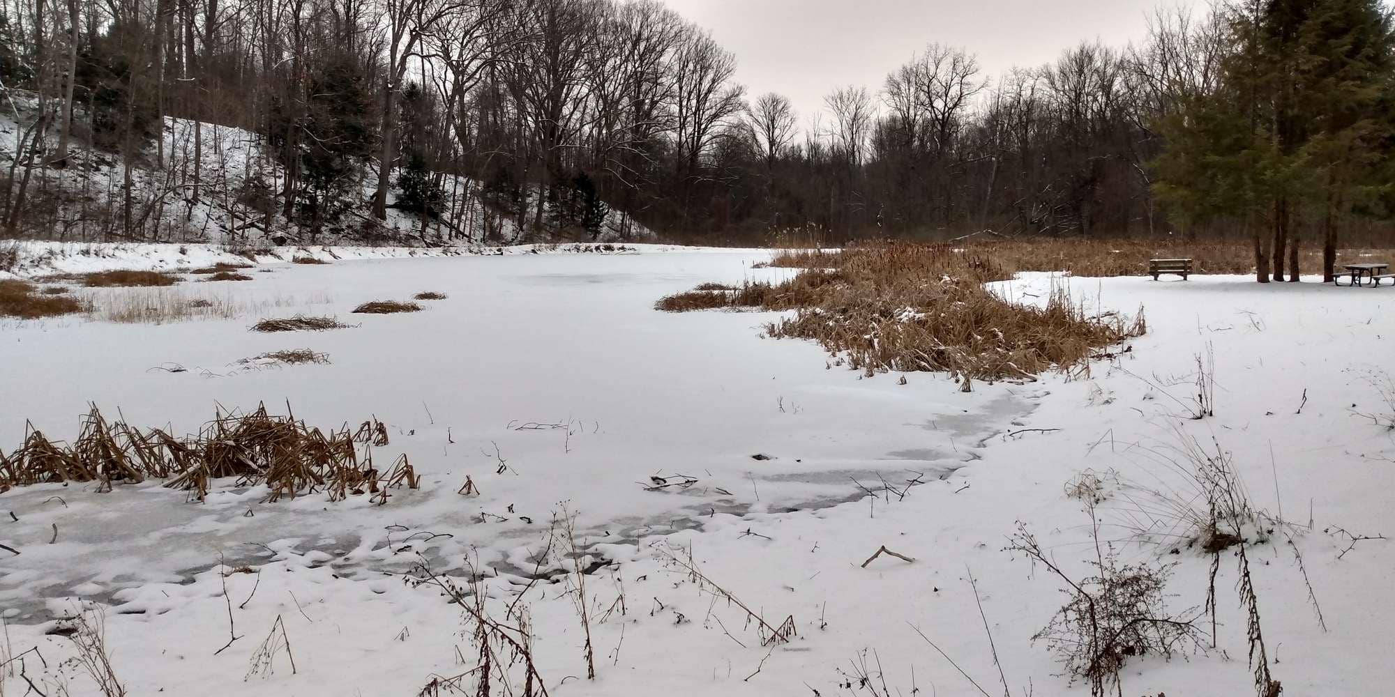 Second image to compare