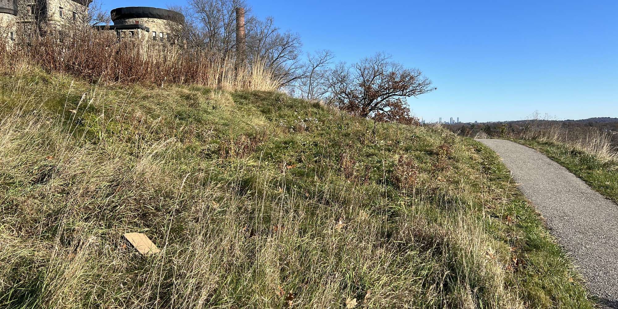 First image to compare