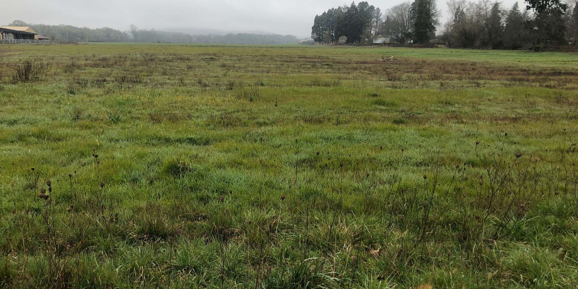 Second image to compare