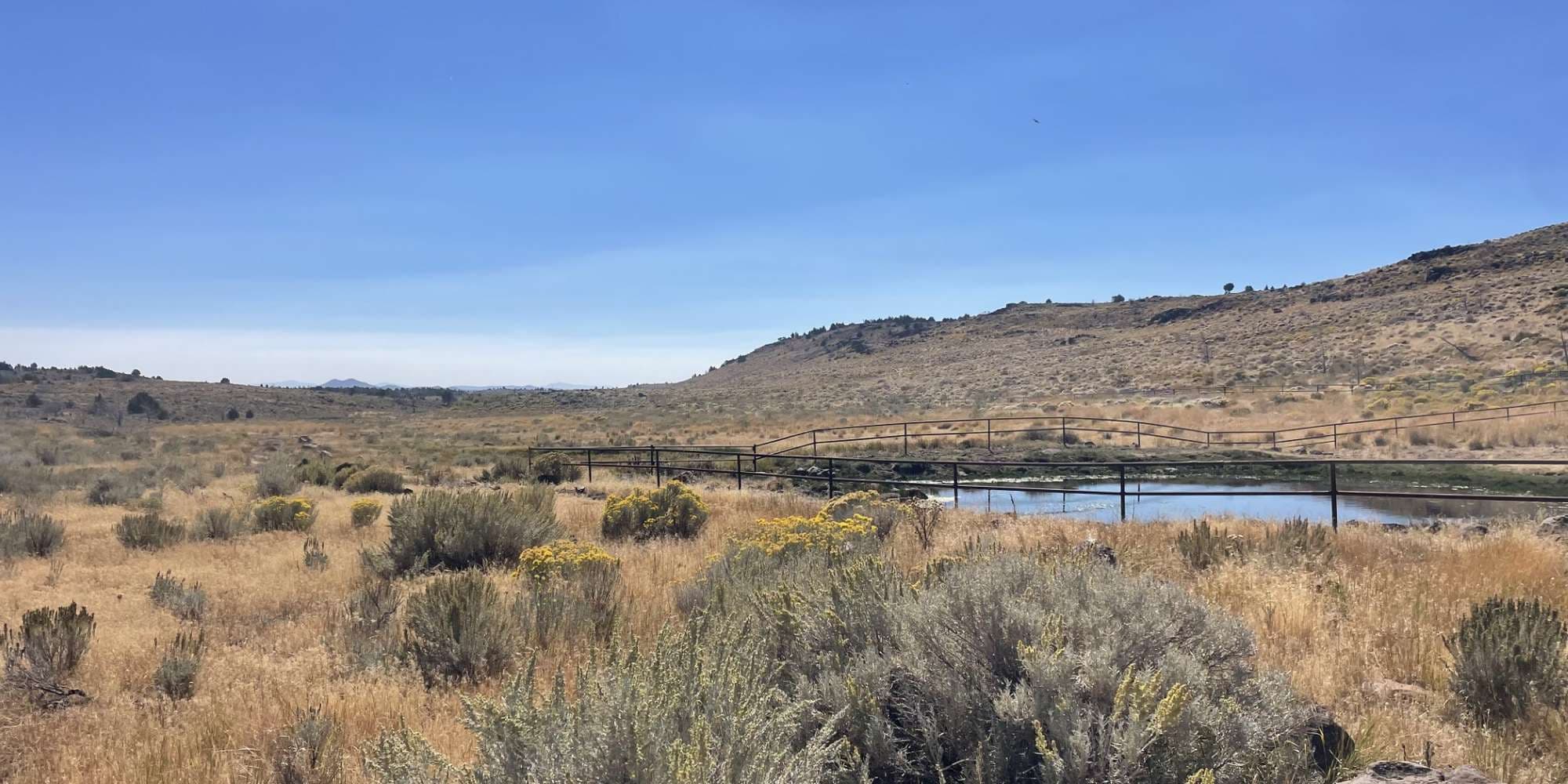 Second image to compare