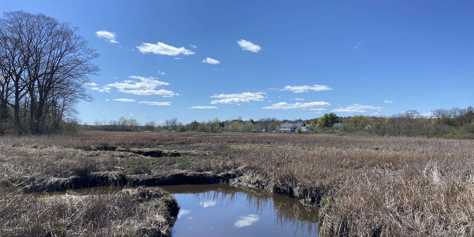 First image to compare