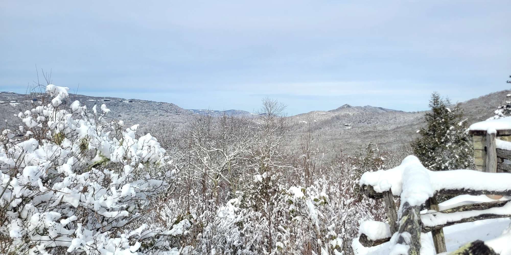 Second image to compare