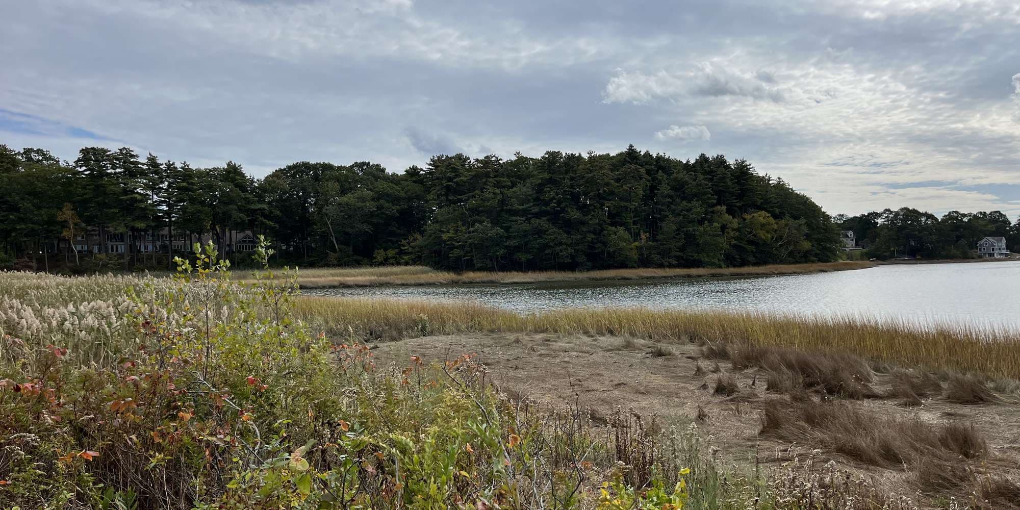 First image to compare