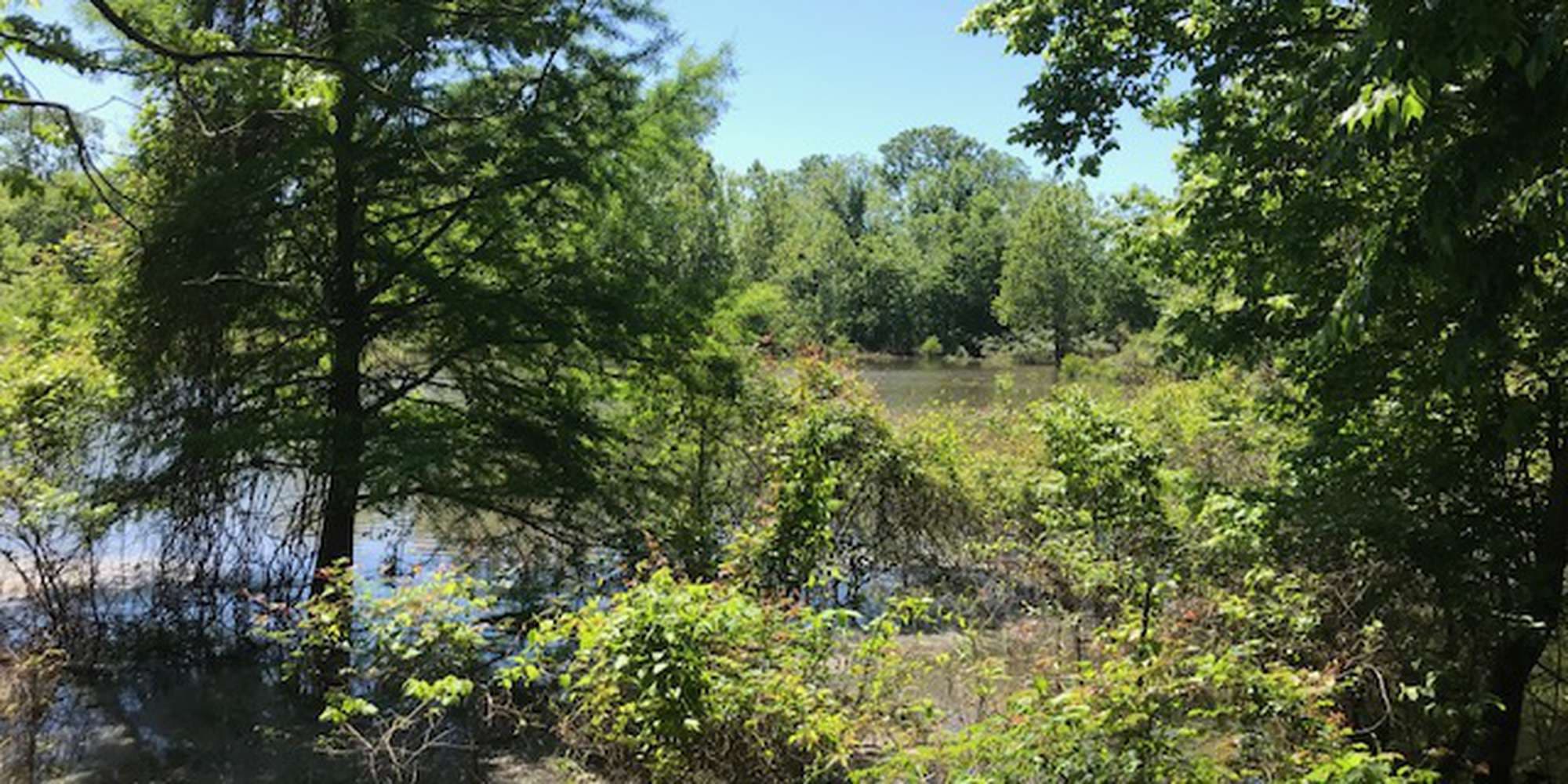 First image to compare