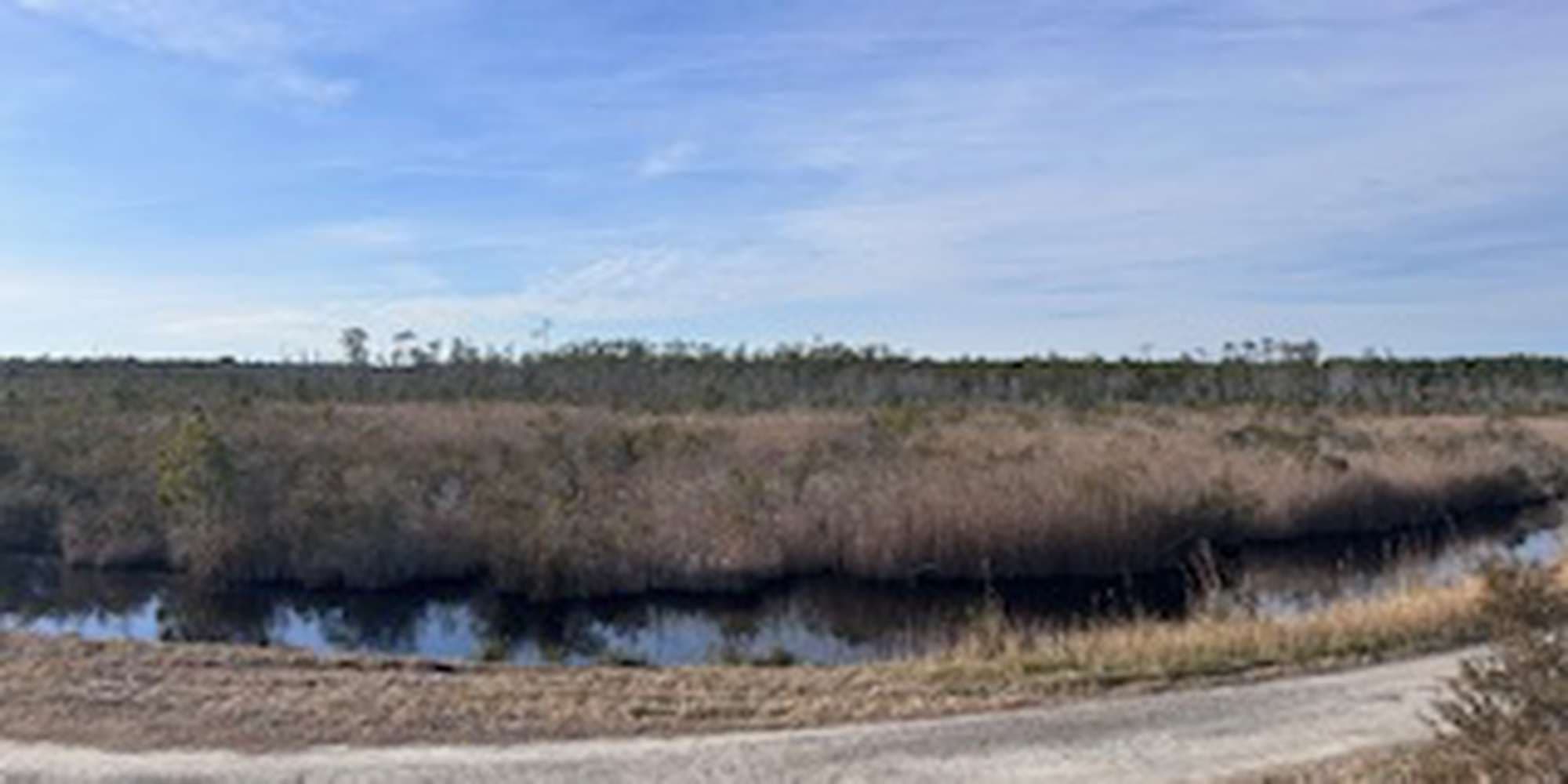 Second image to compare