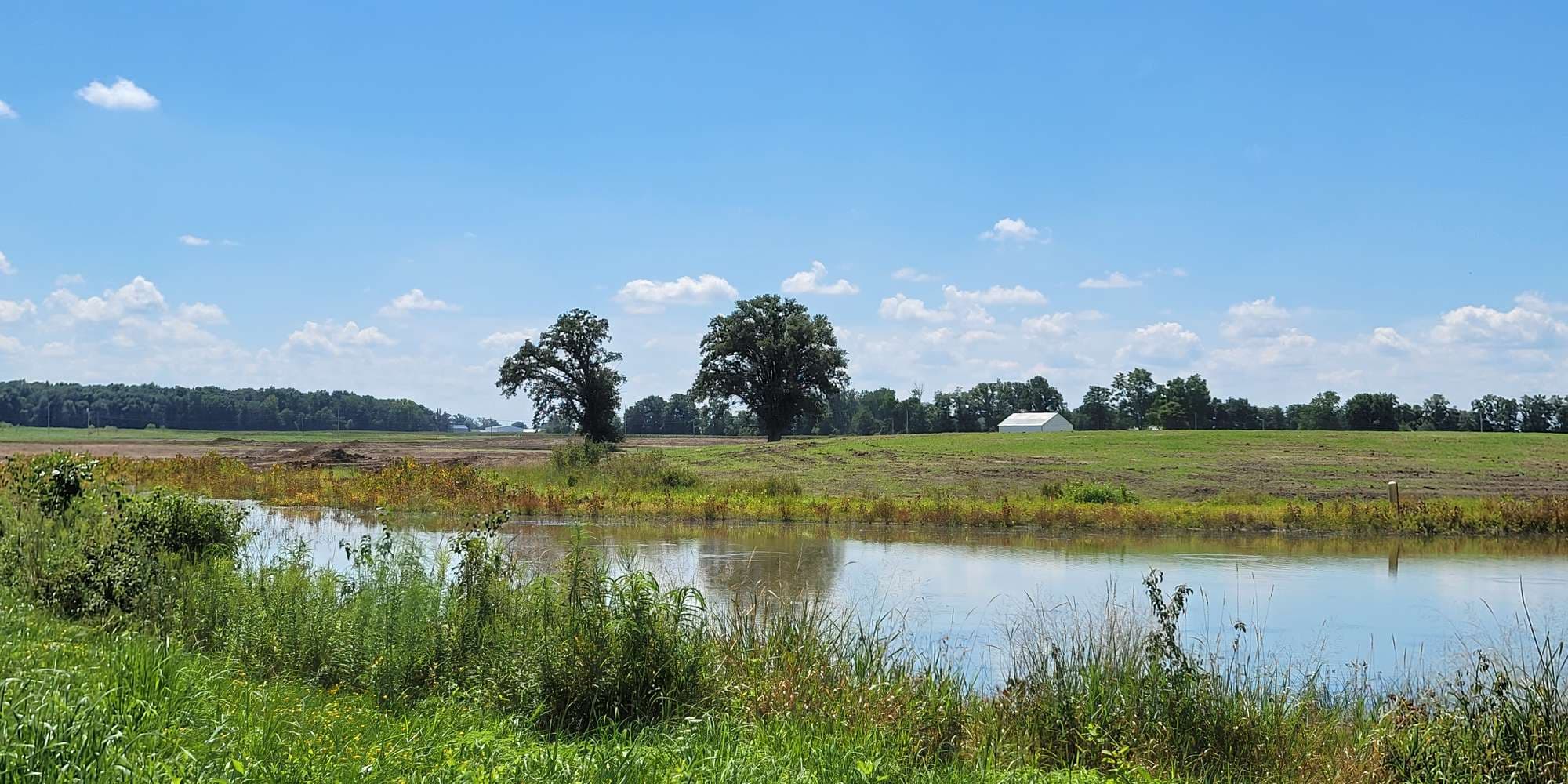 Second image to compare