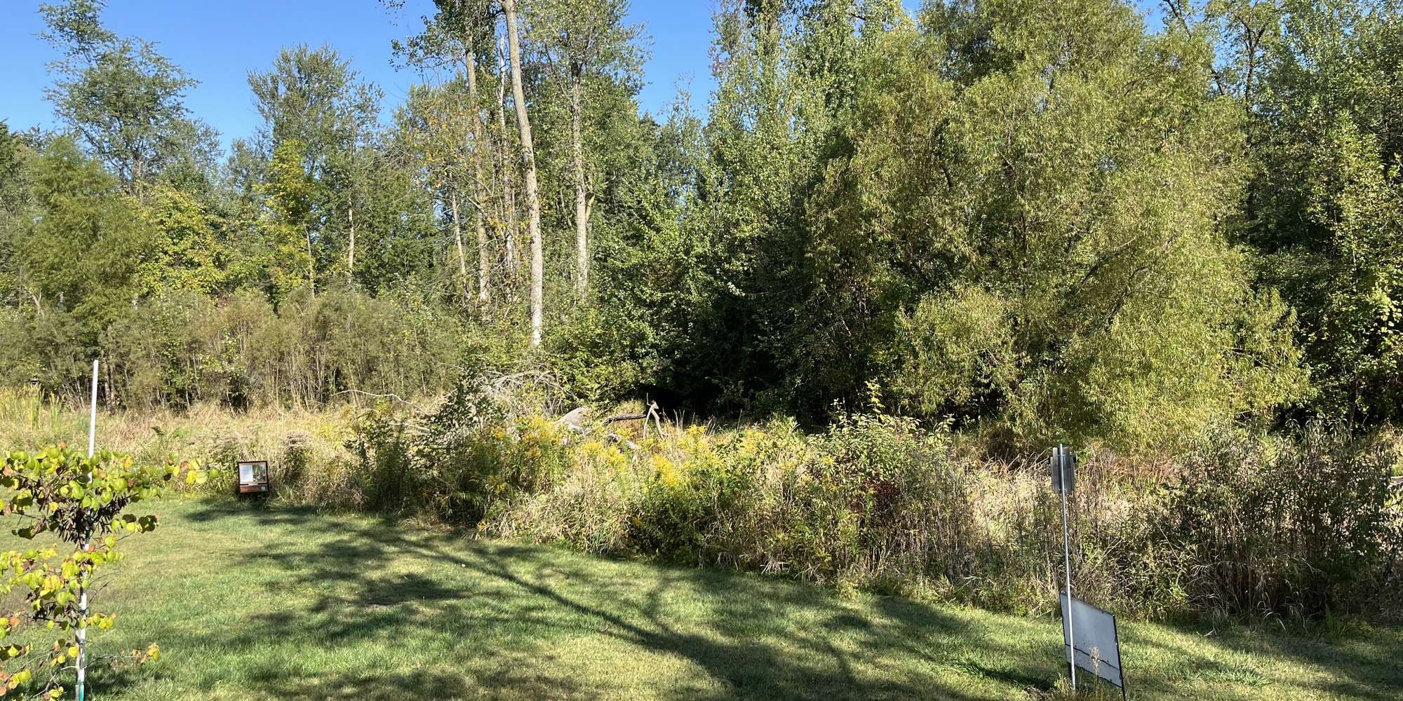 Second image to compare