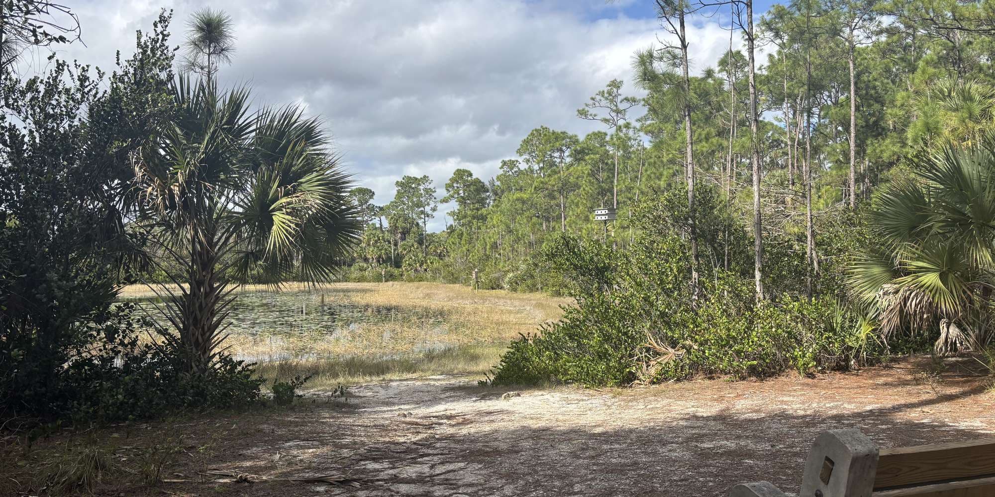 Second image to compare