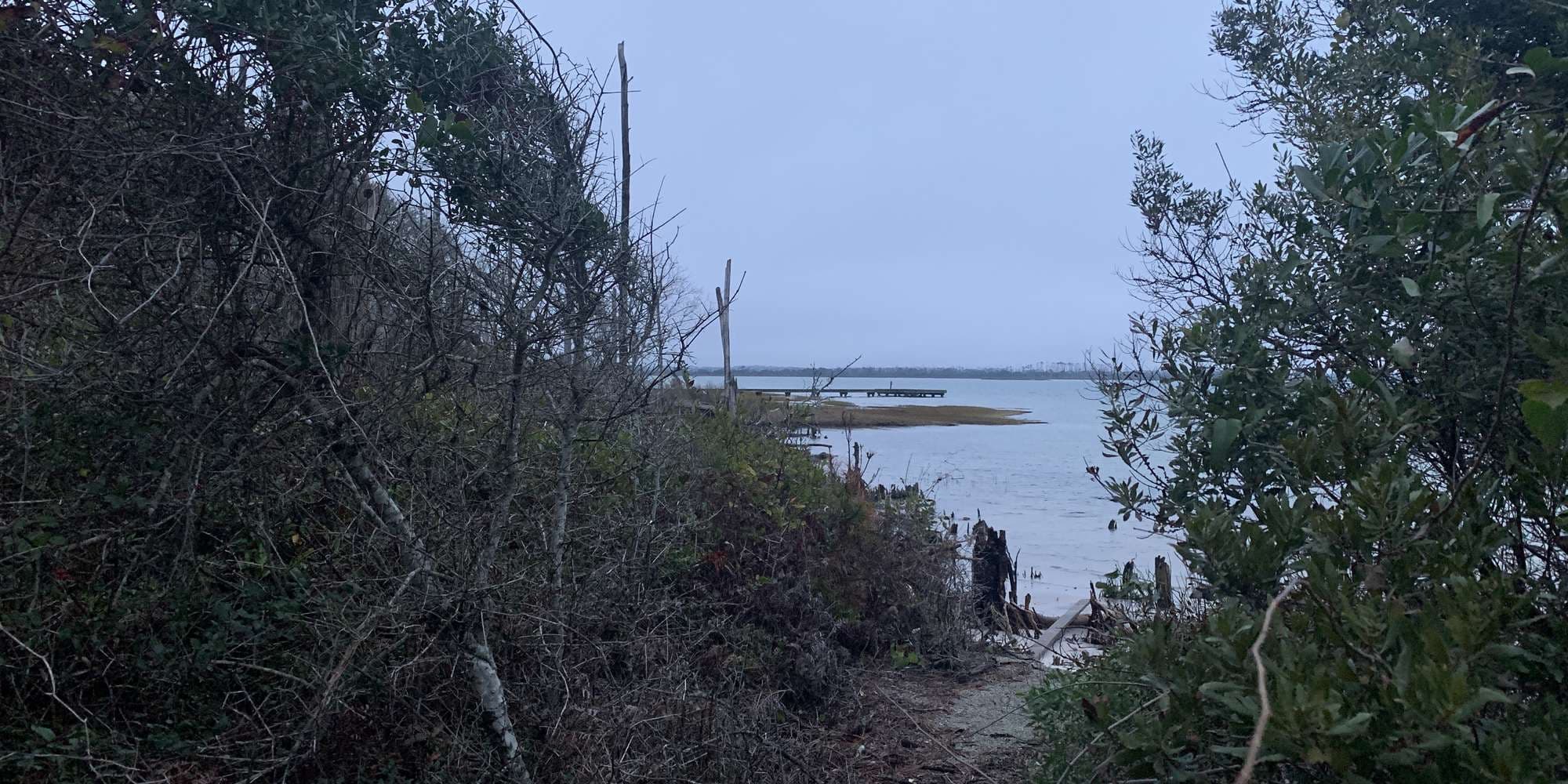 Second image to compare