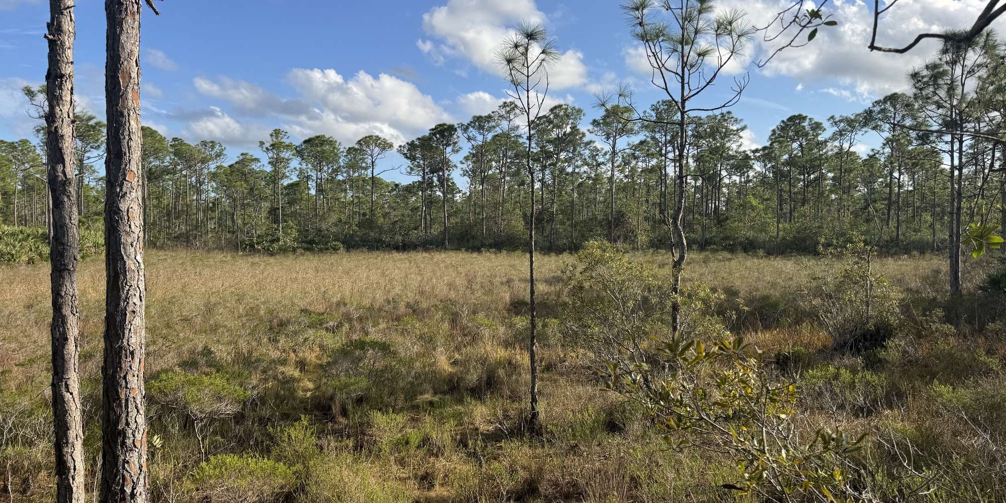 Second image to compare