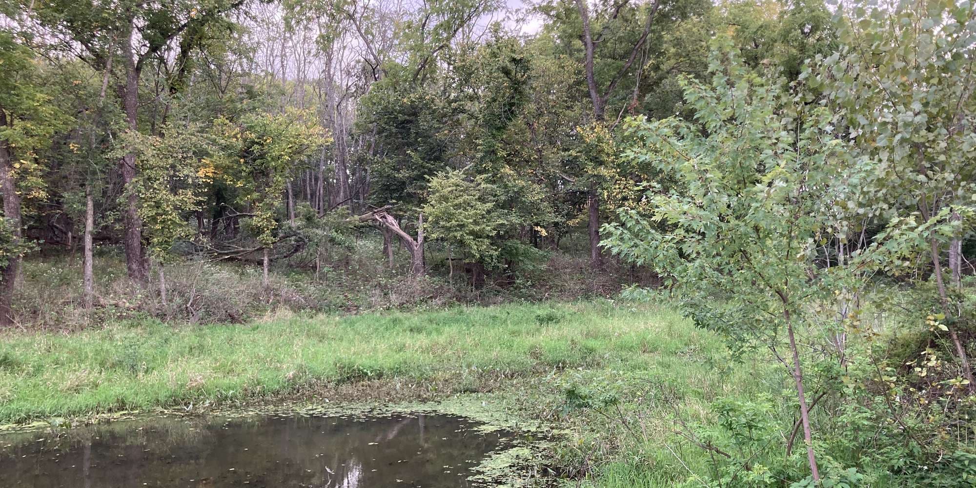 First image to compare