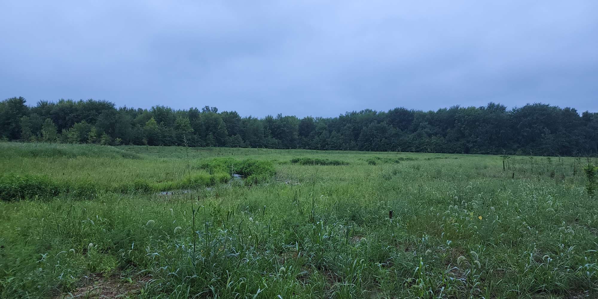 First image to compare