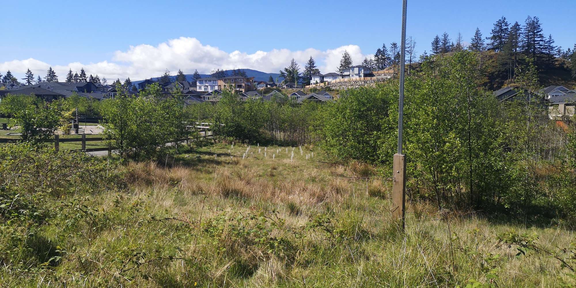 First image to compare