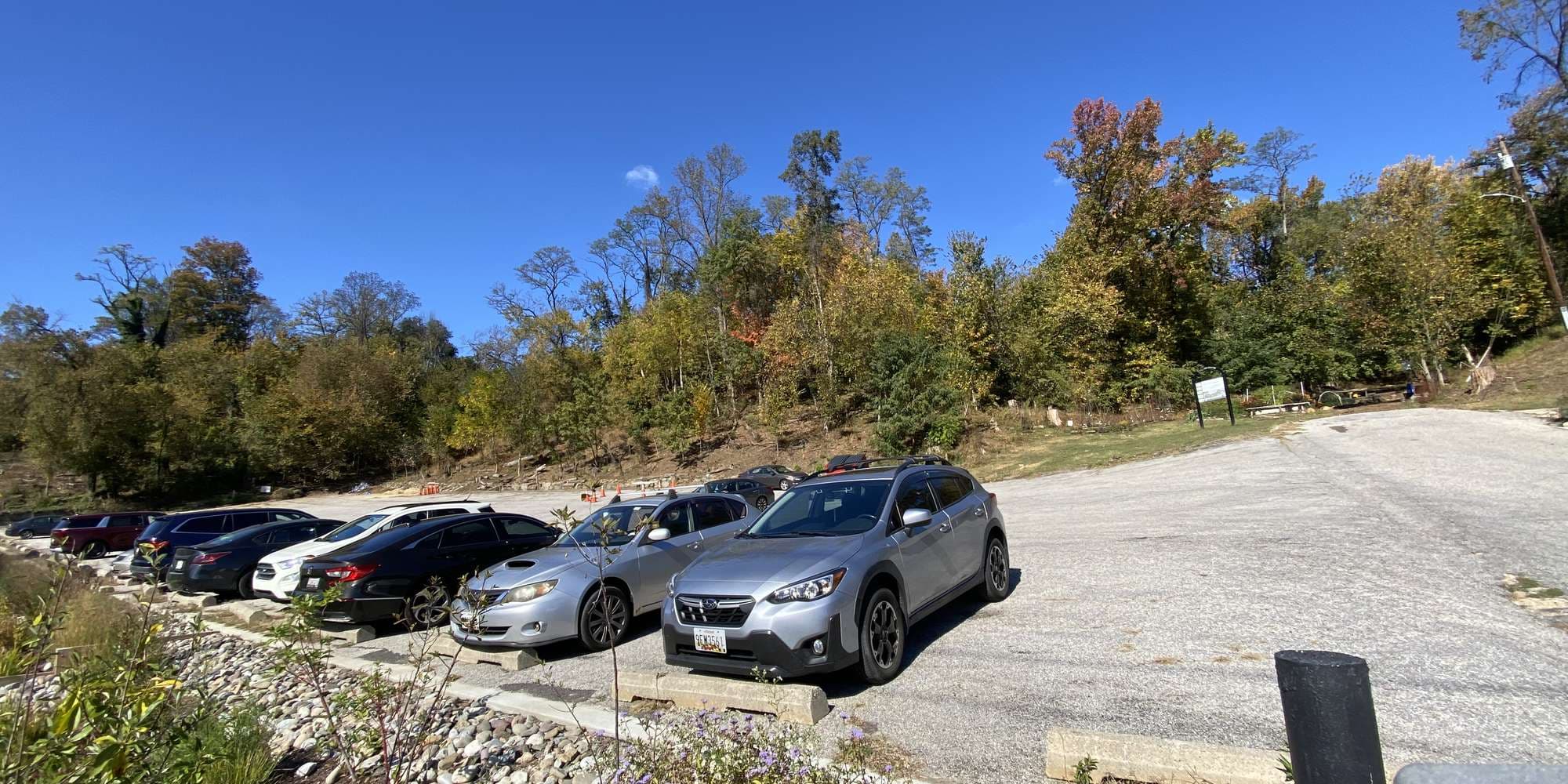 Second image to compare