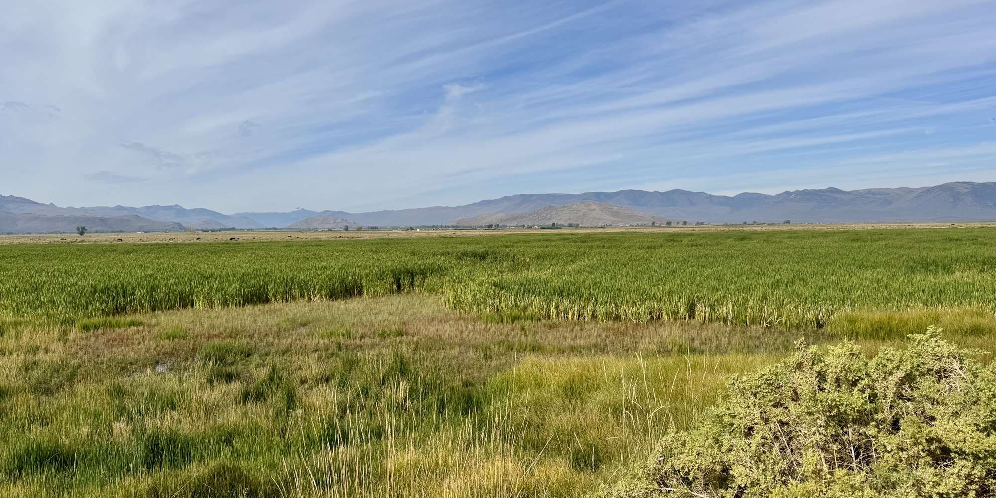 Second image to compare