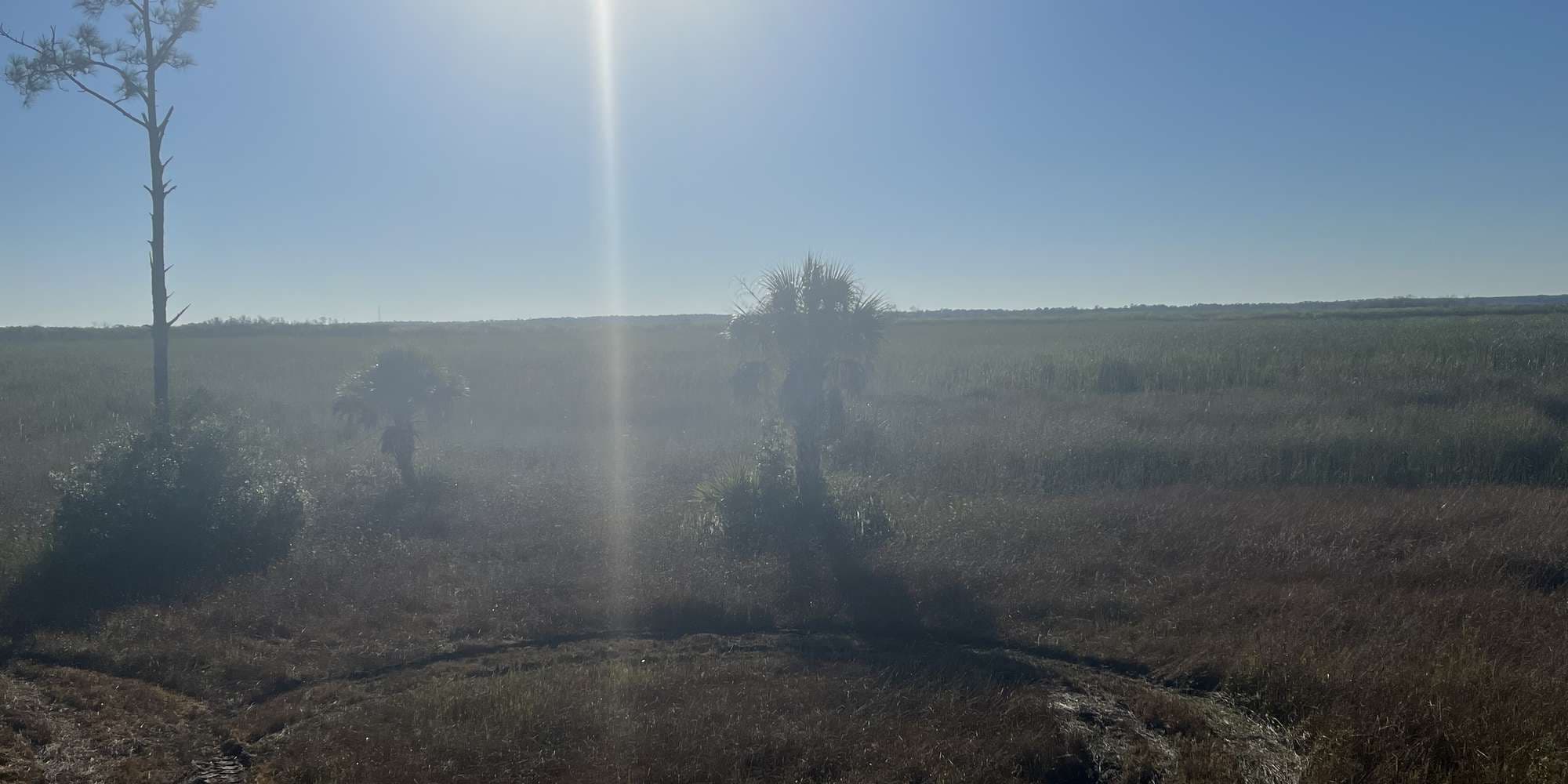 Second image to compare