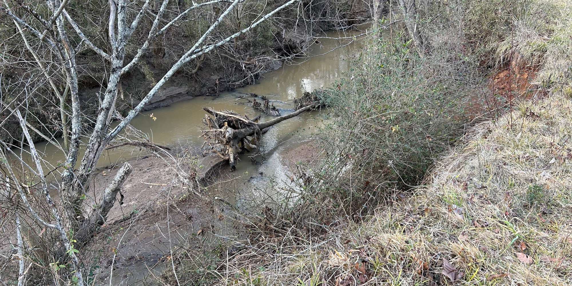 First image to compare