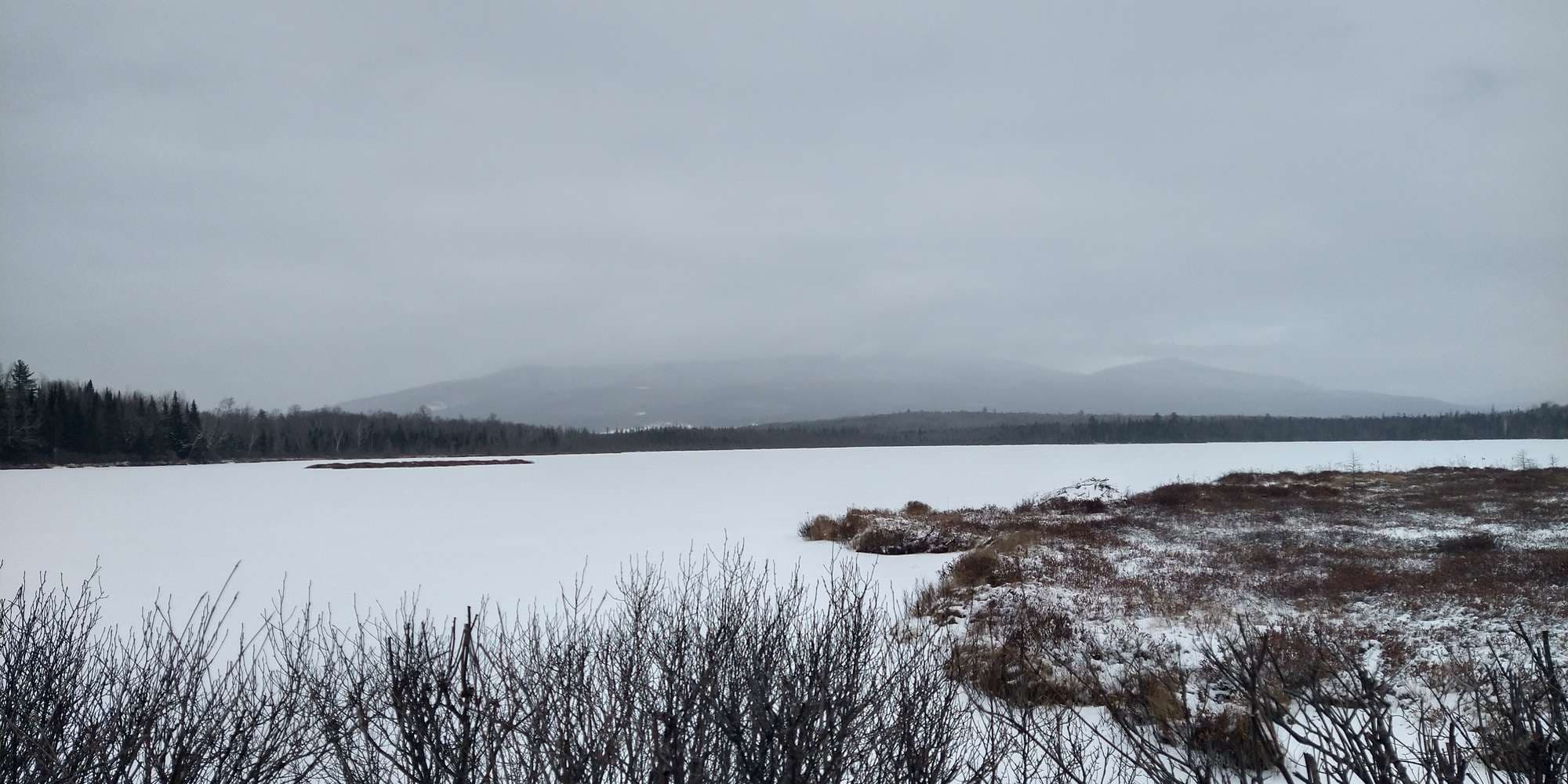 Second image to compare