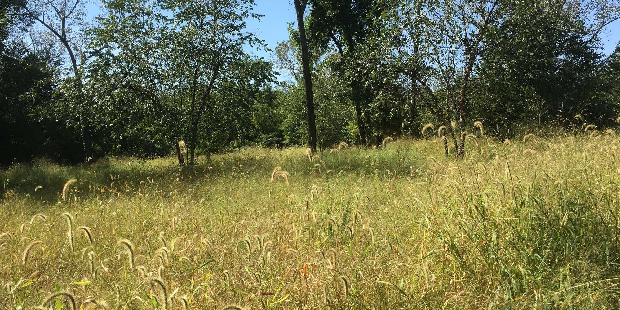 First image to compare