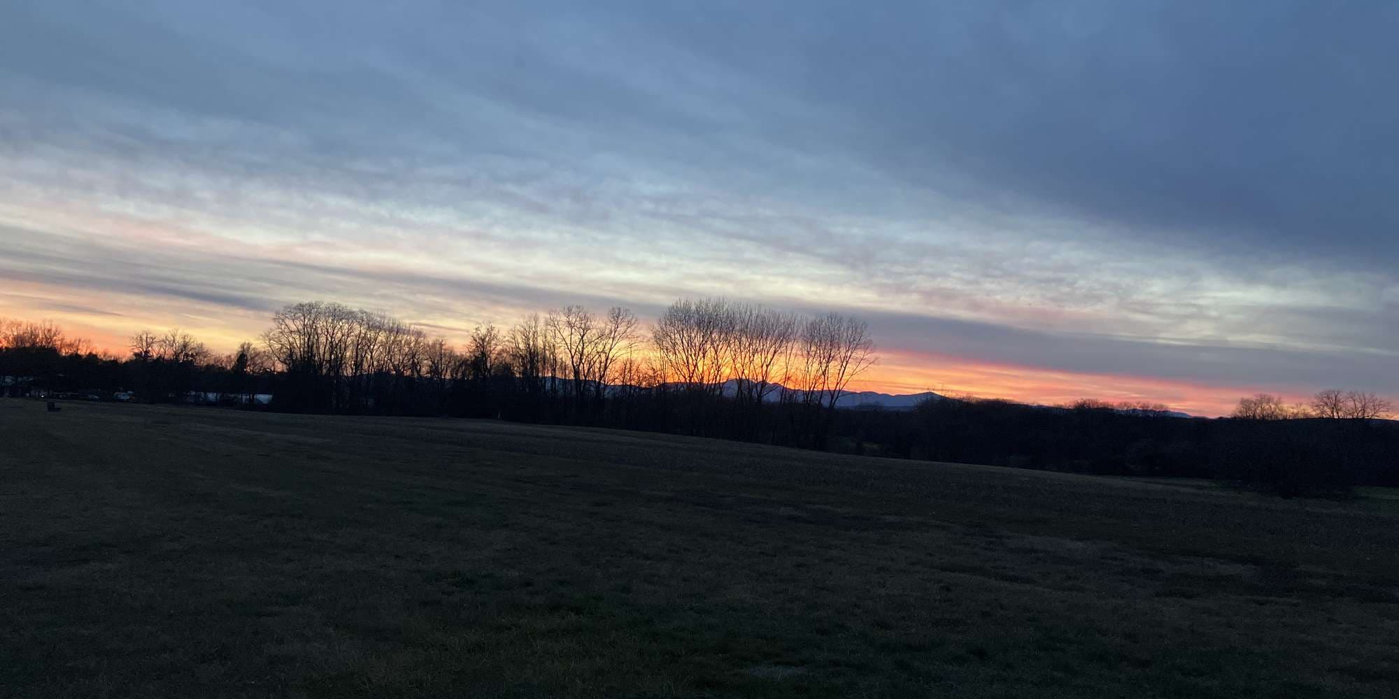 Second image to compare