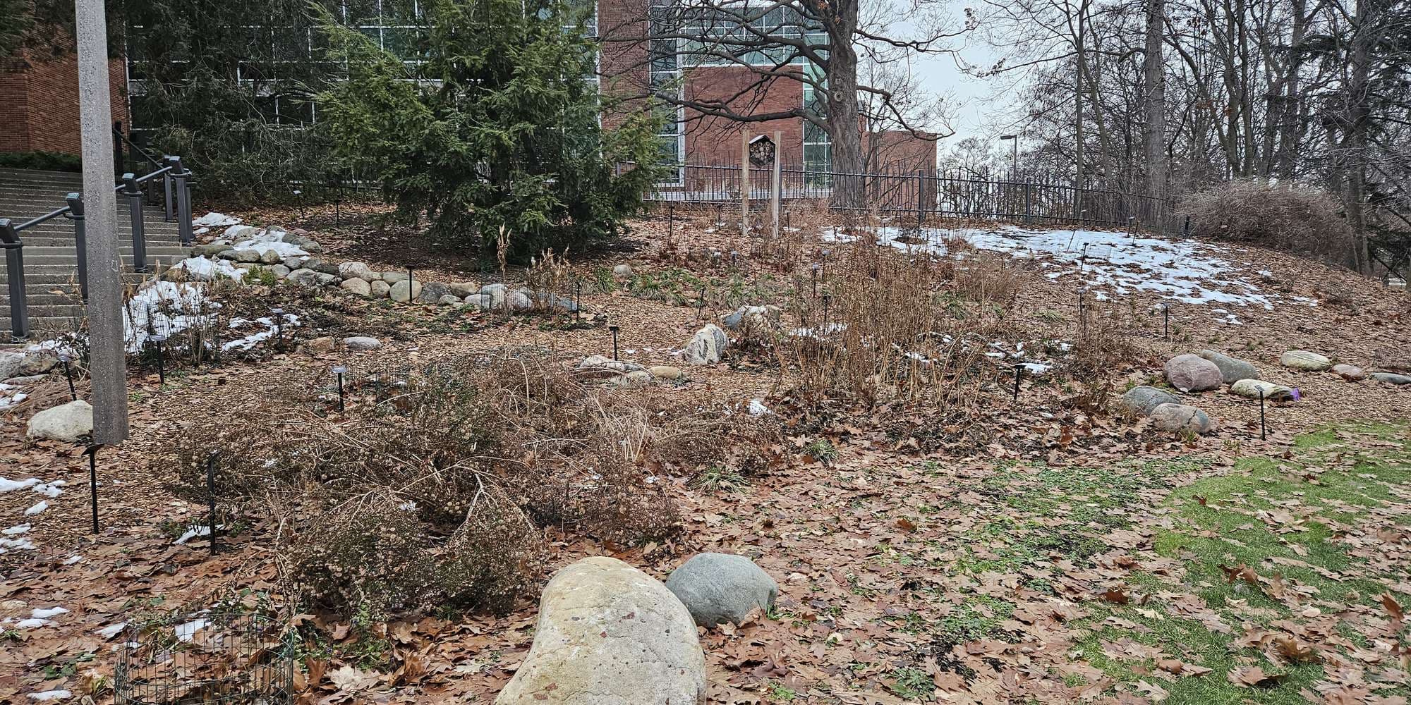 Second image to compare