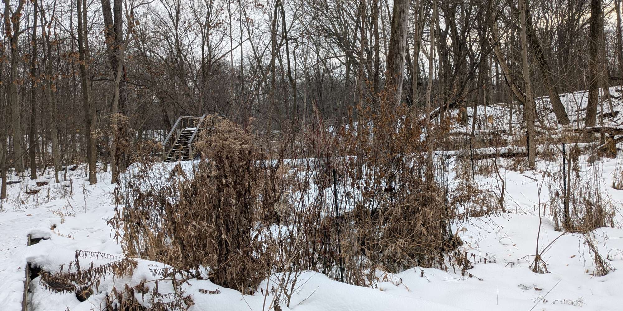 Second image to compare