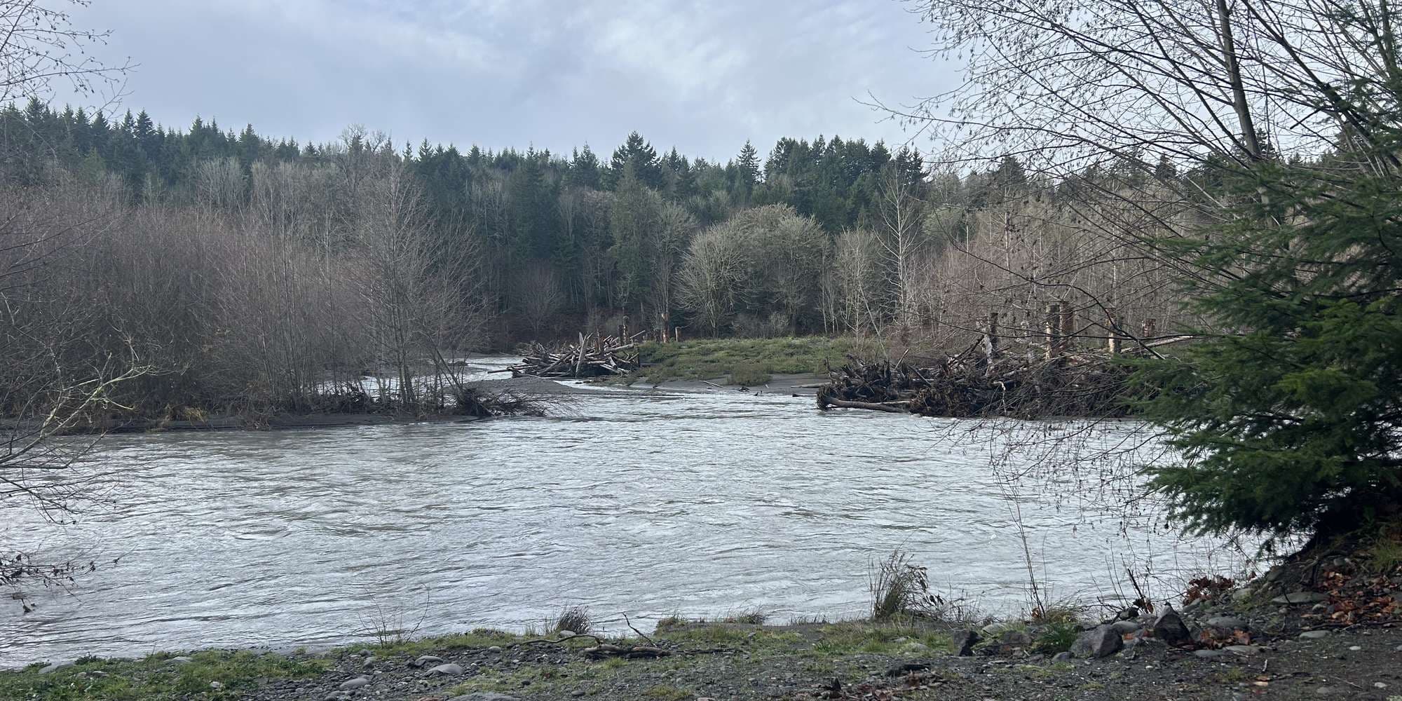 Second image to compare