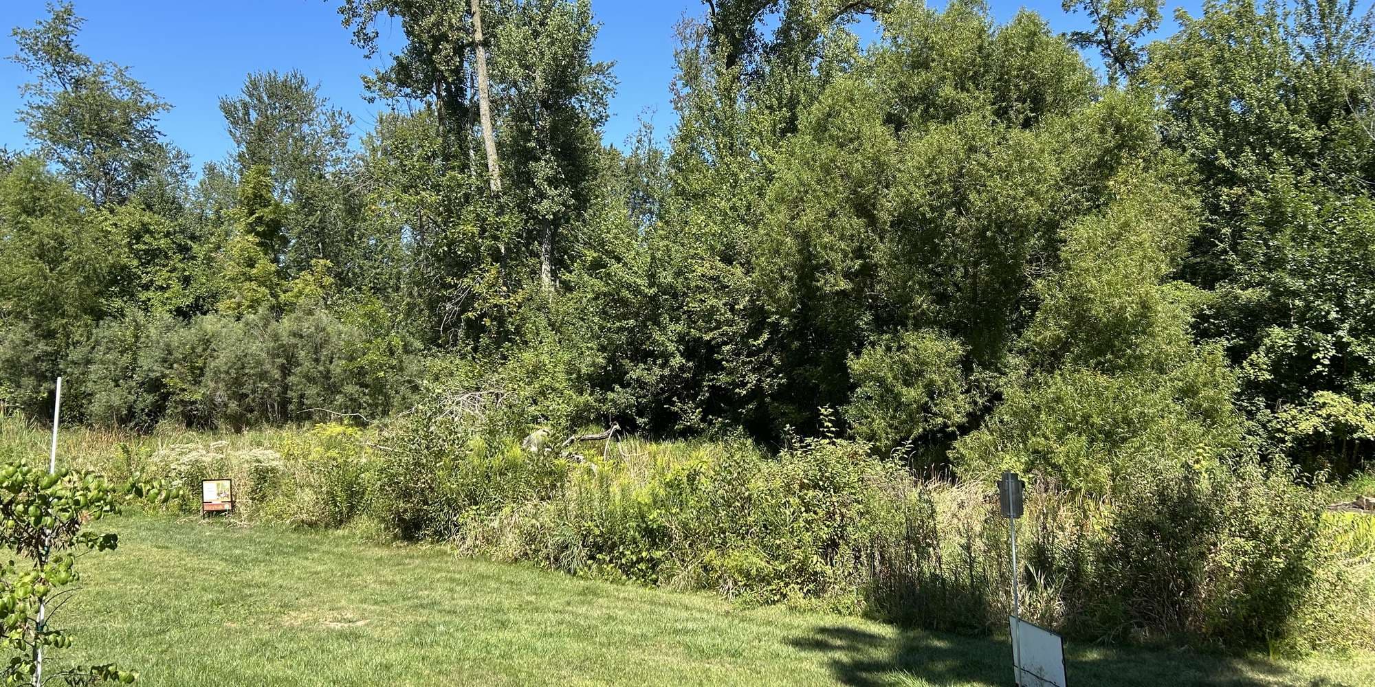 First image to compare