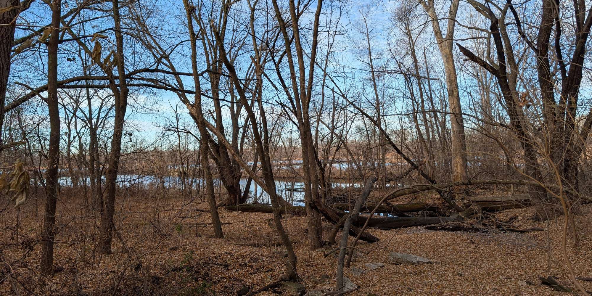 Second image to compare