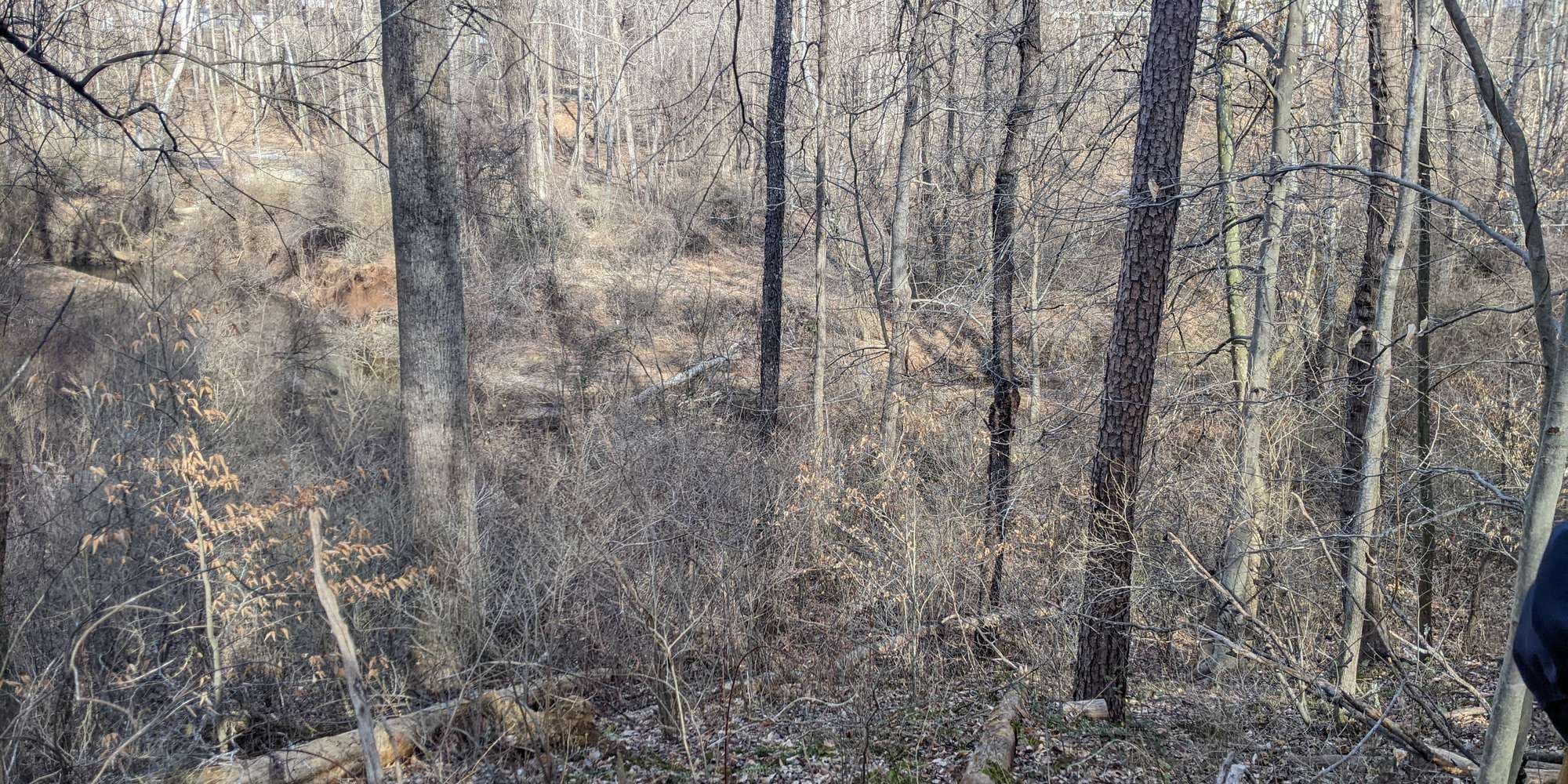 First image to compare