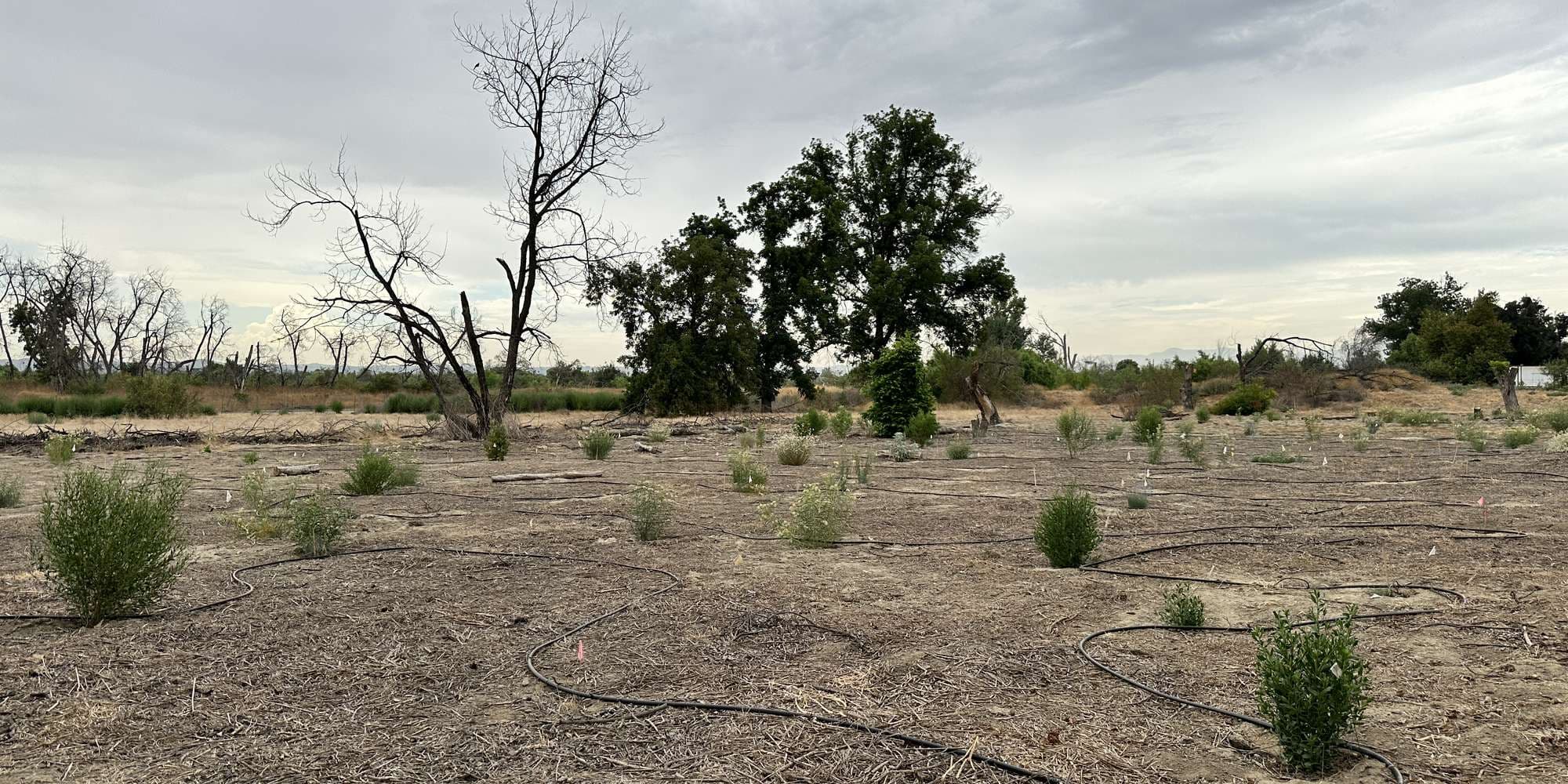 First image to compare