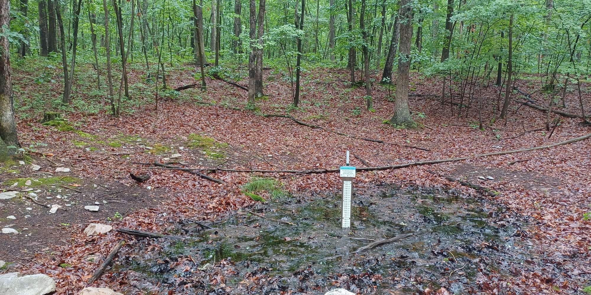 First image to compare