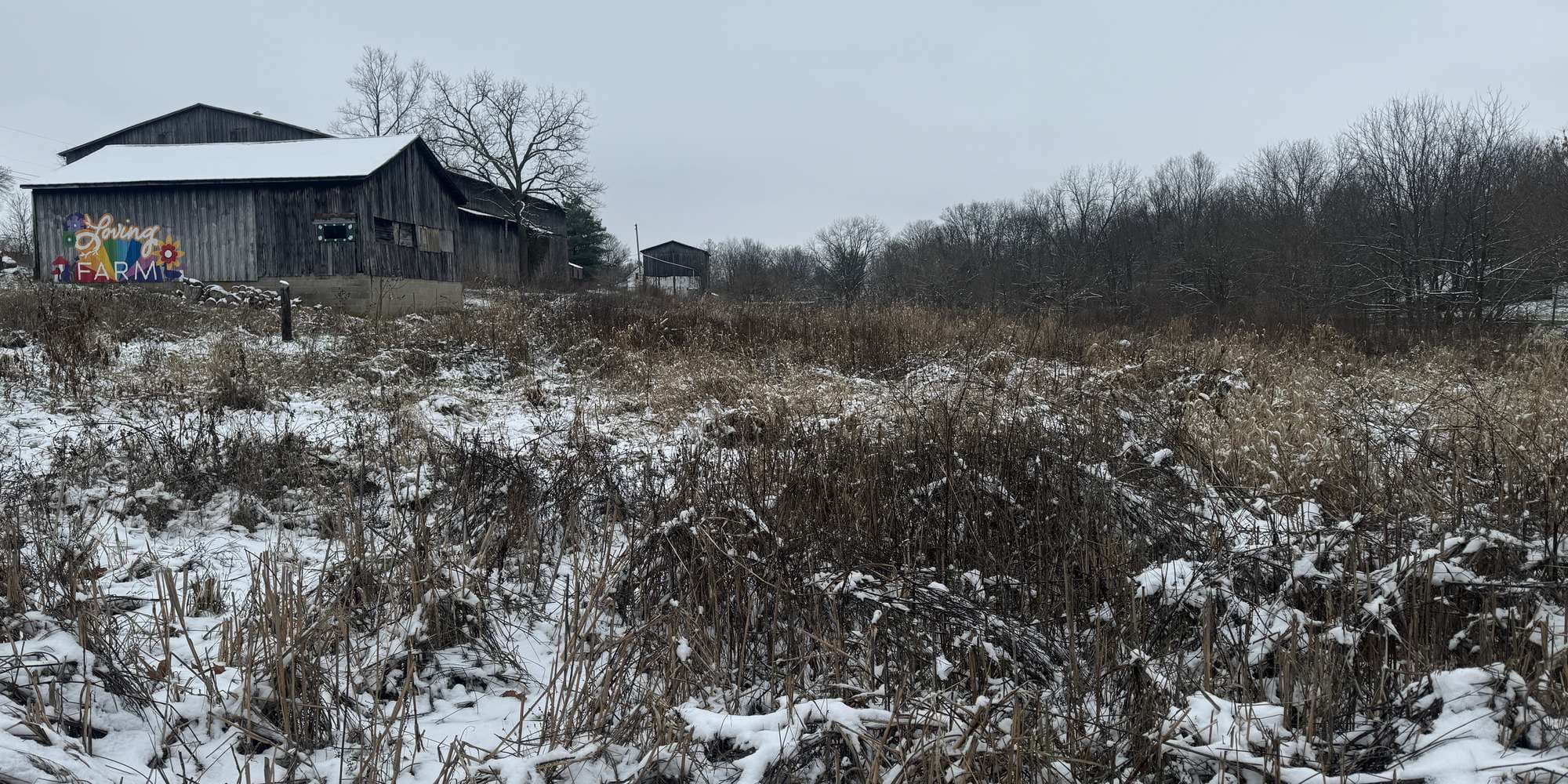 Second image to compare