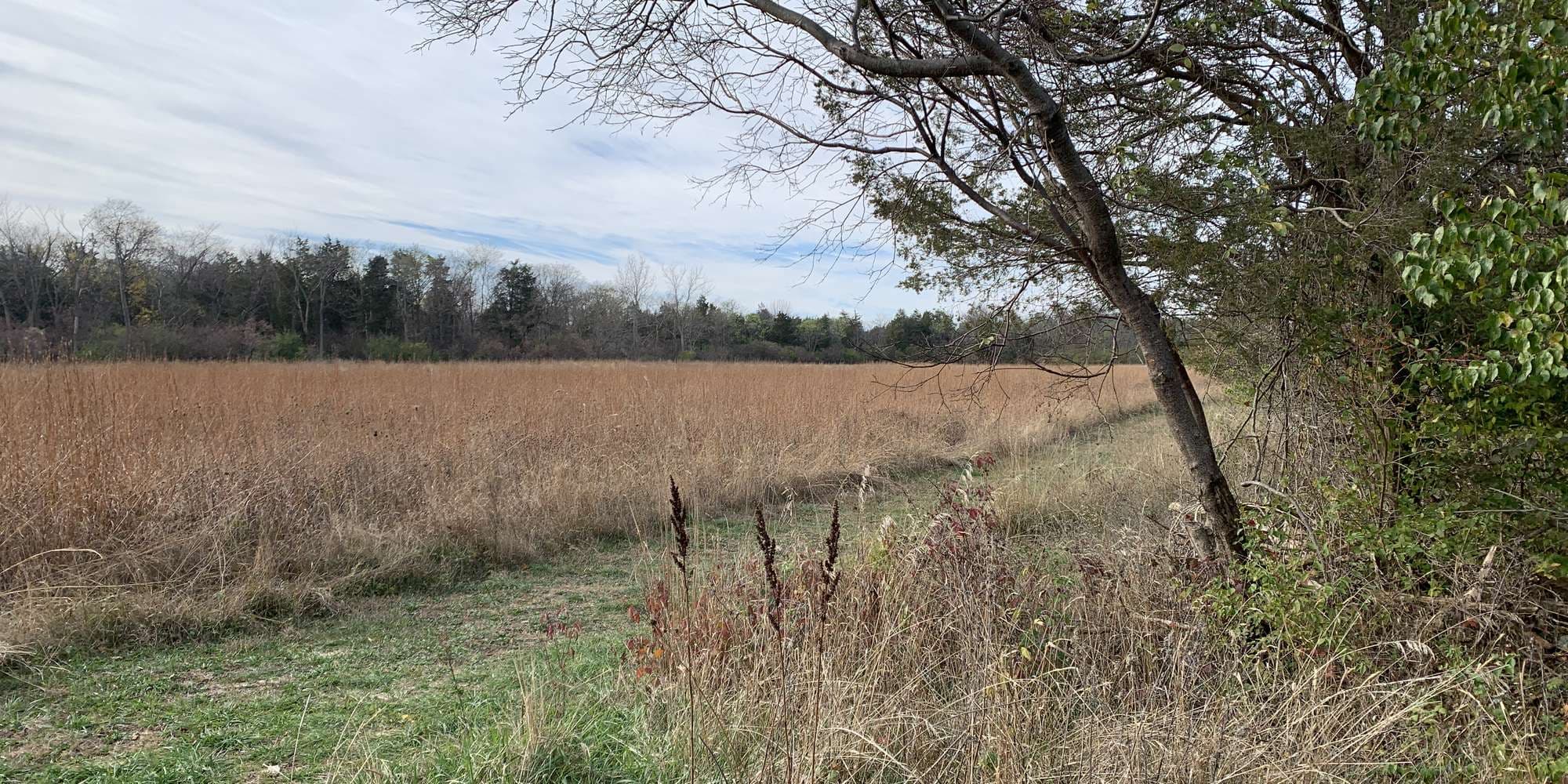 Second image to compare