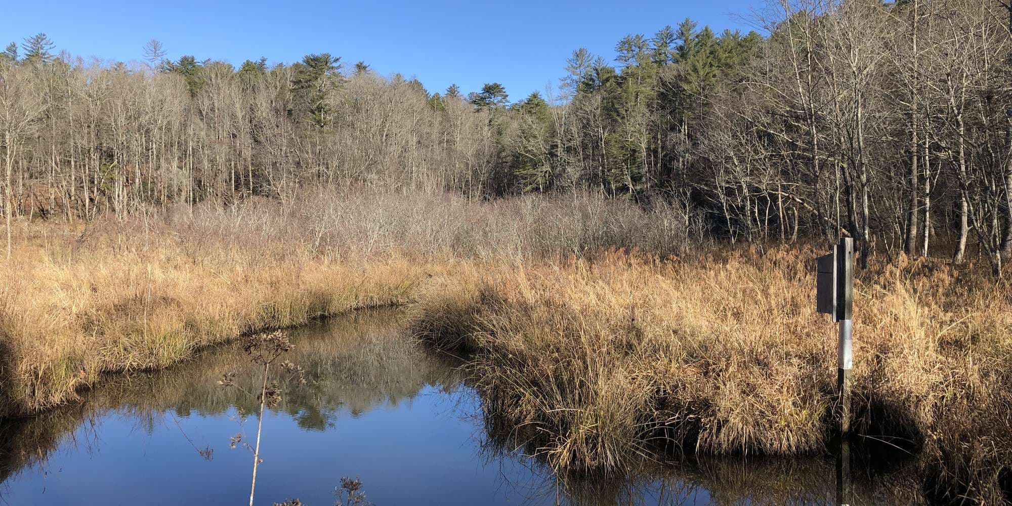 Second image to compare