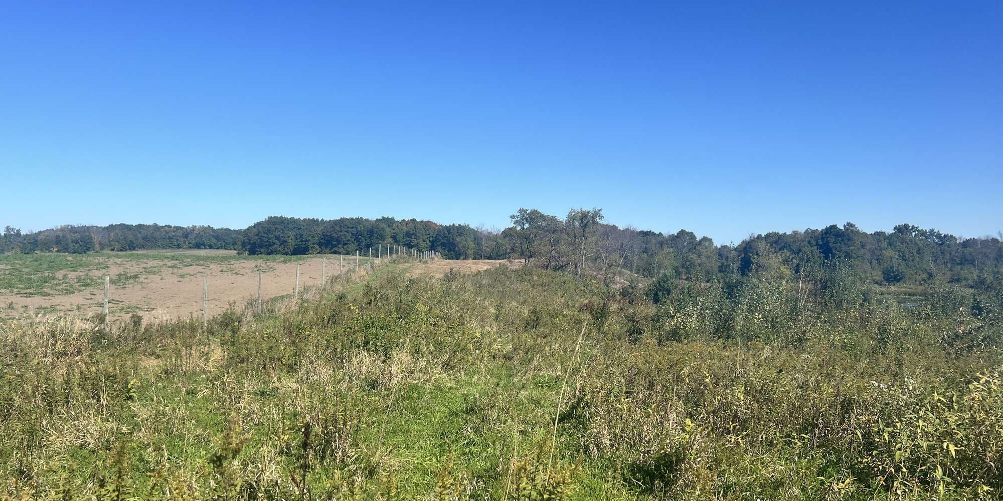 Second image to compare