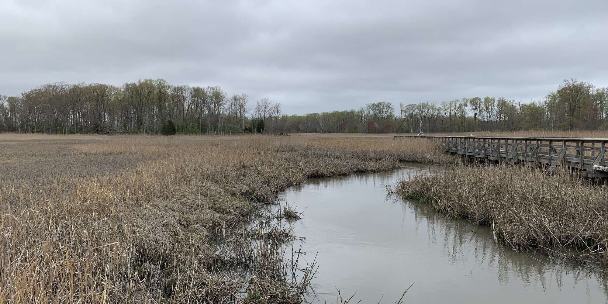 First image to compare