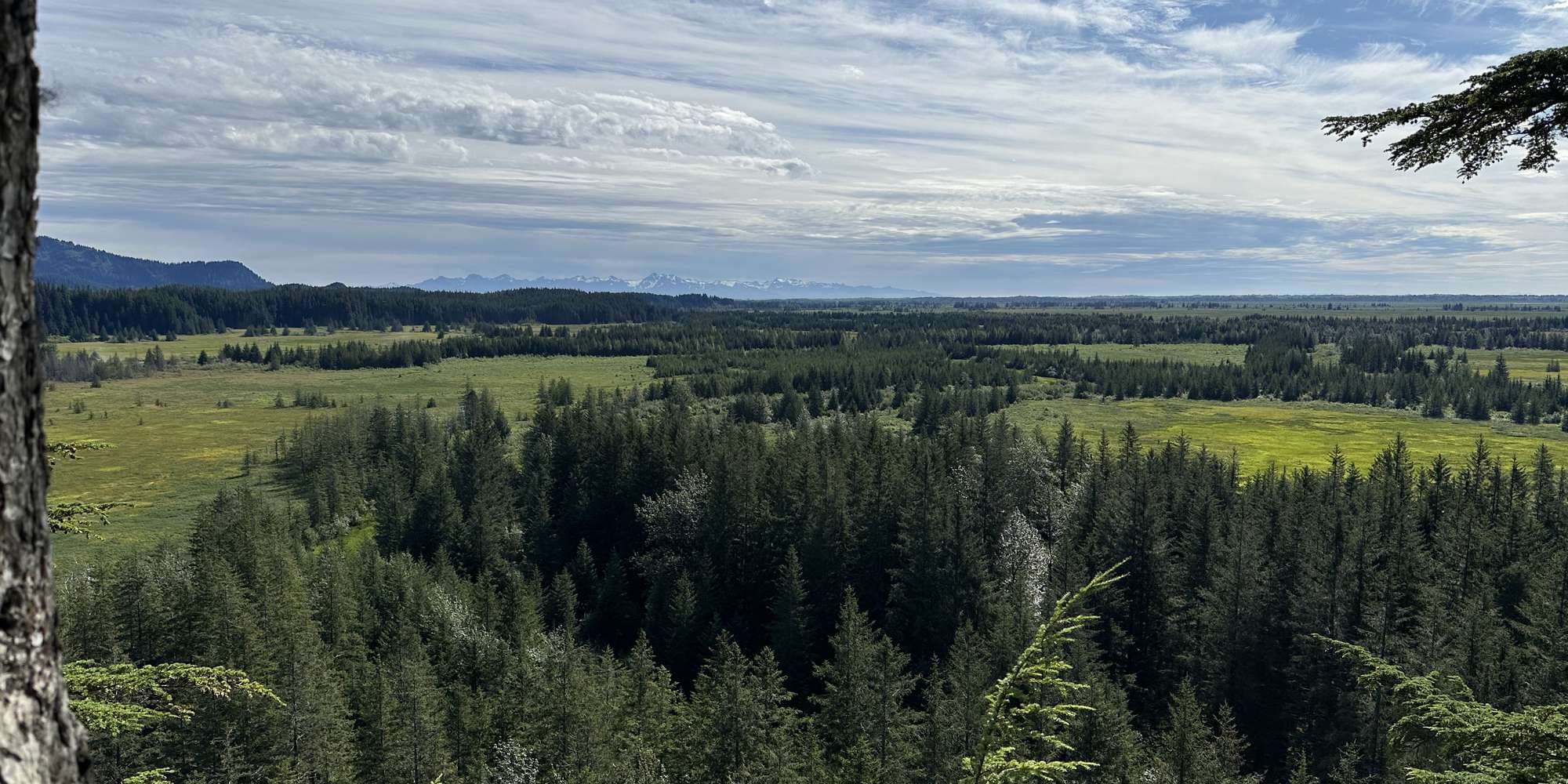 Second image to compare