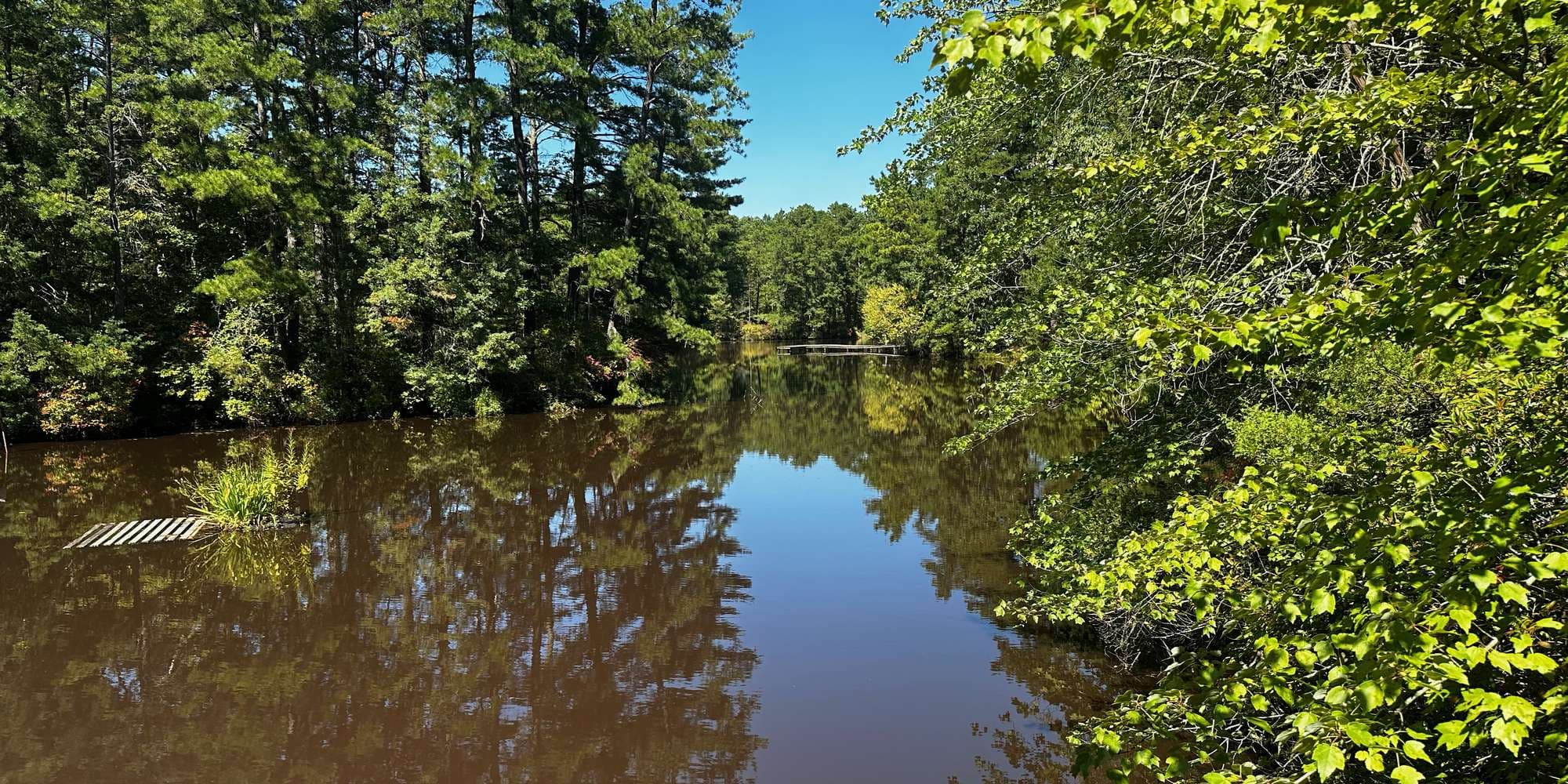 First image to compare