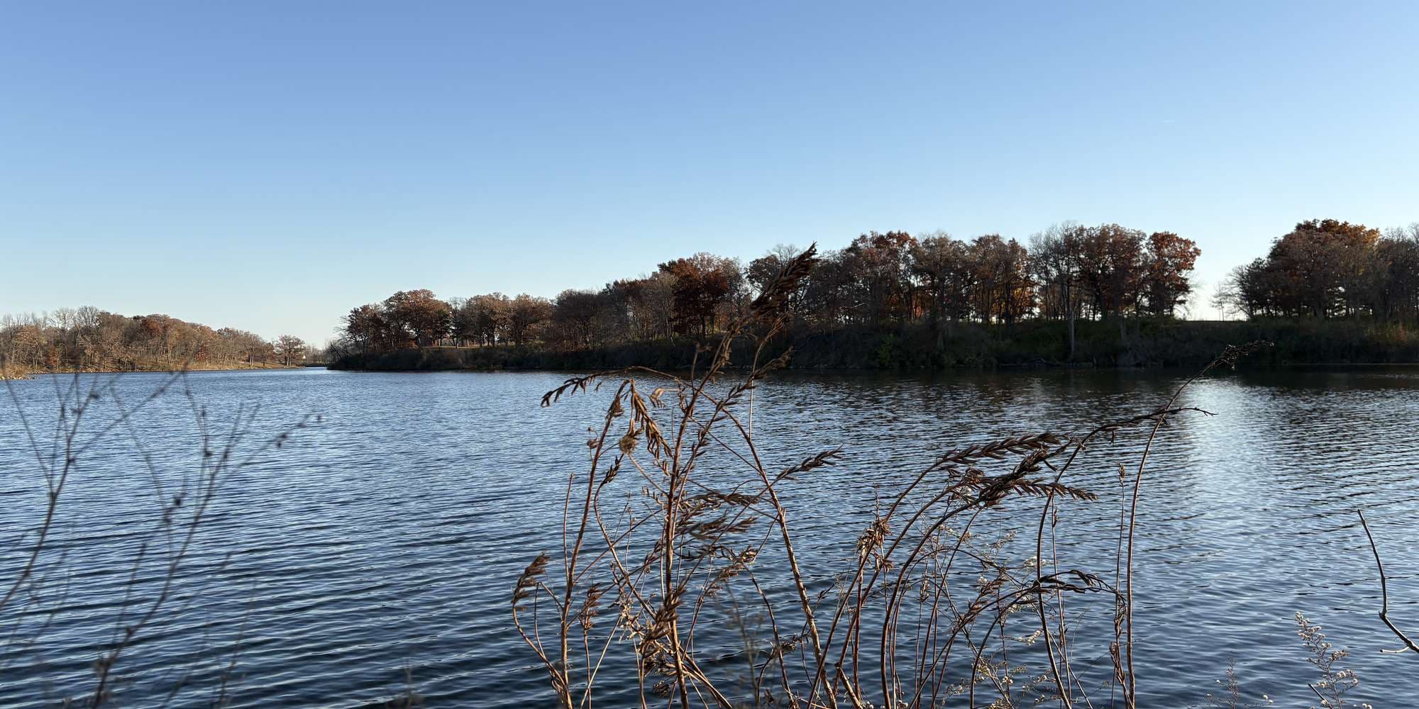 Second image to compare