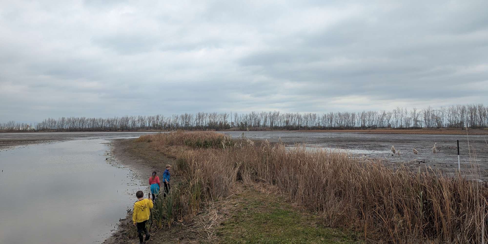 Second image to compare