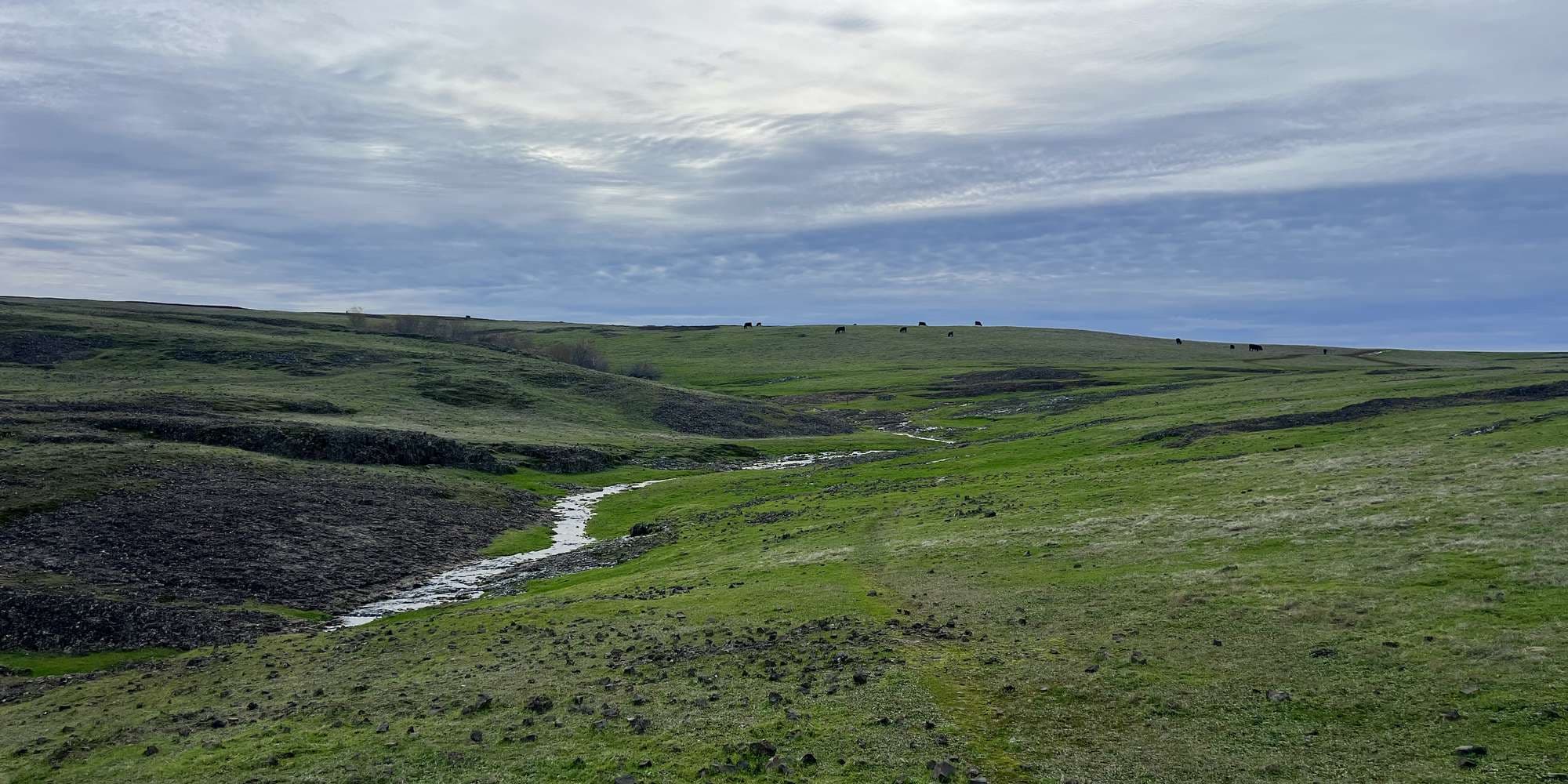 Second image to compare