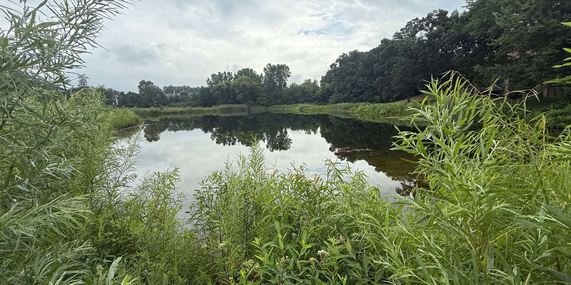 Second image to compare