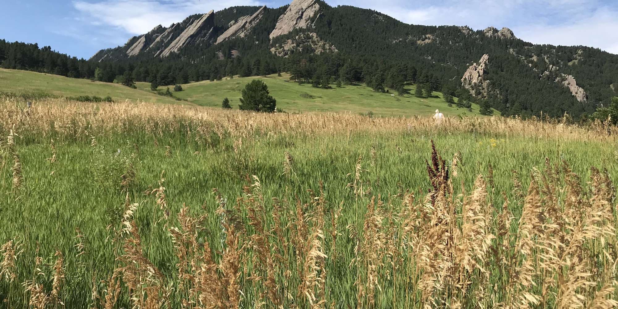 First image to compare