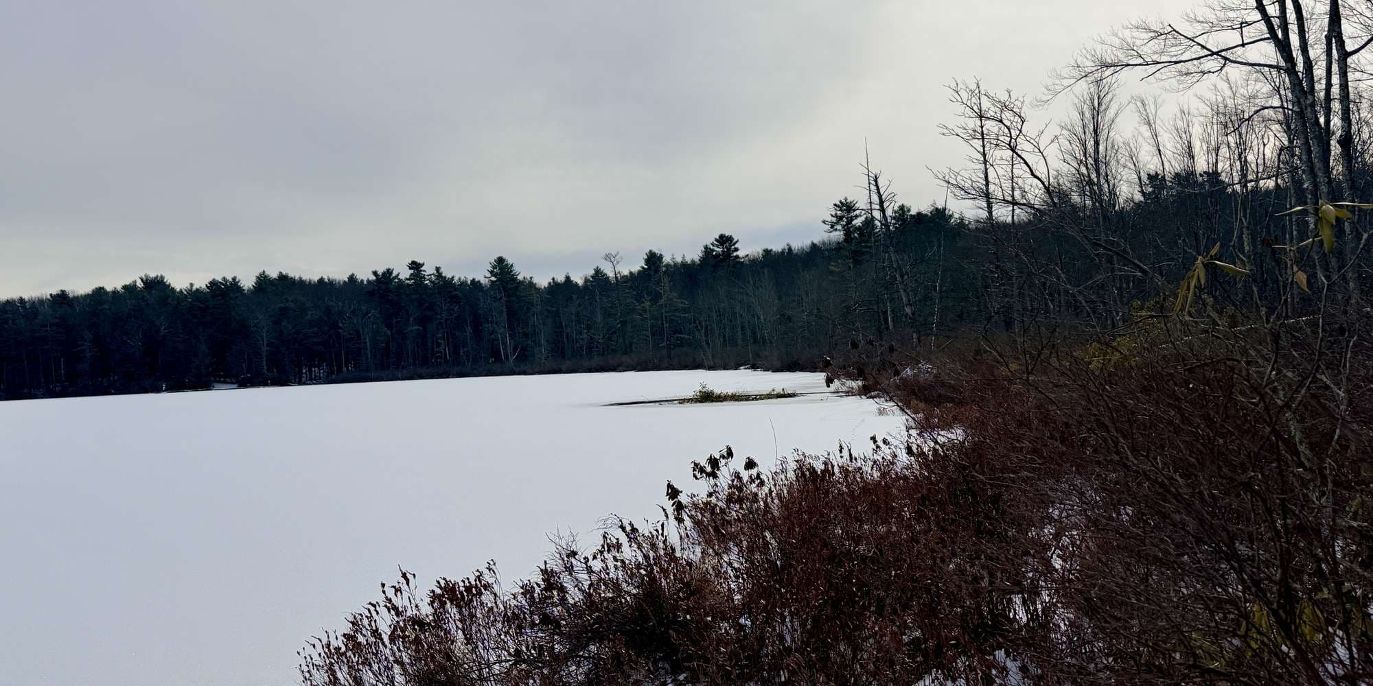 Second image to compare