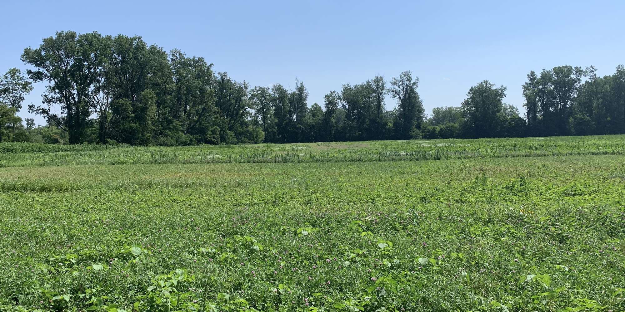 First image to compare