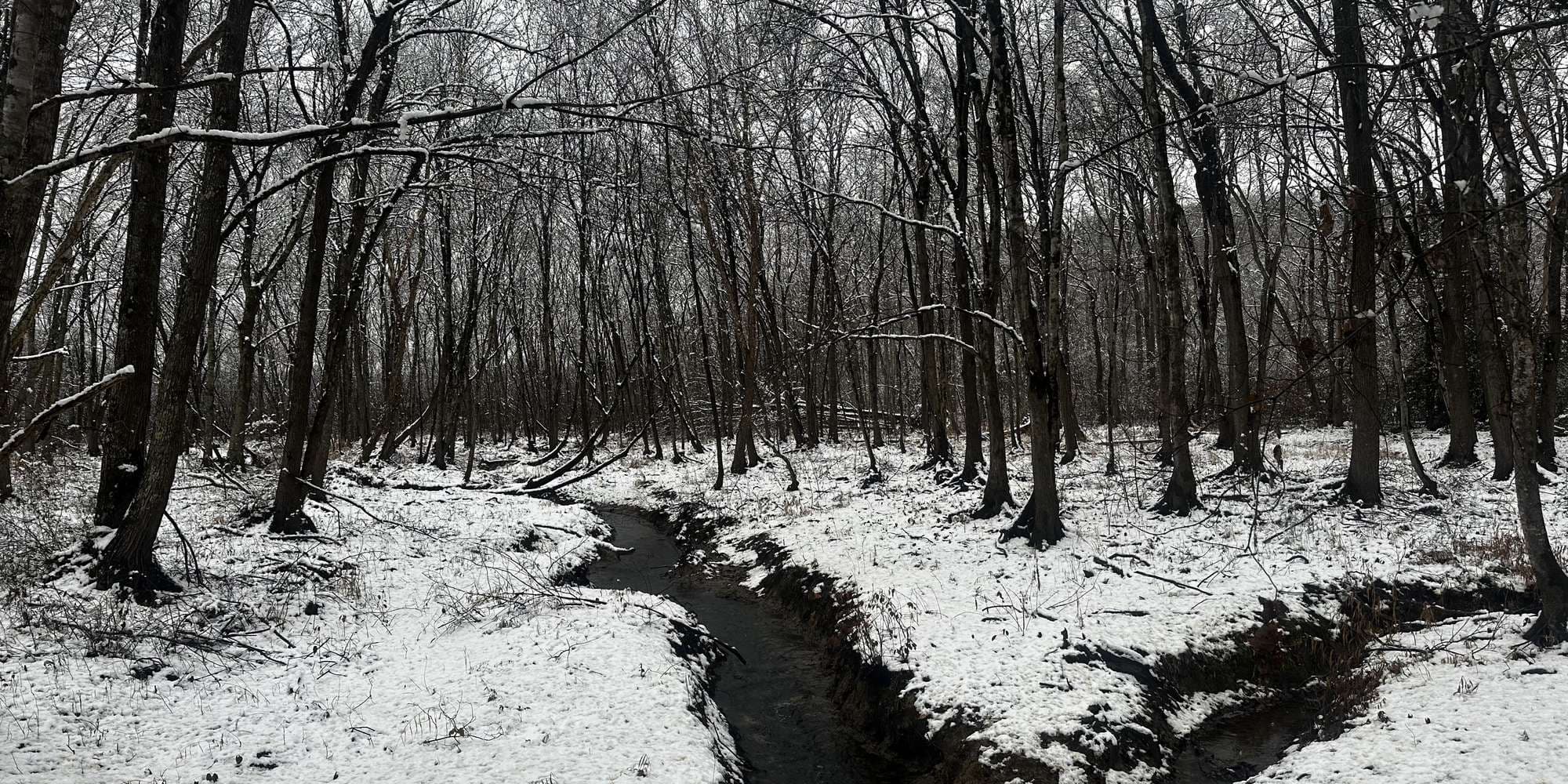 Second image to compare